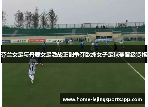 芬兰女足与丹麦女足激战正酣争夺欧洲女子足球赛晋级资格